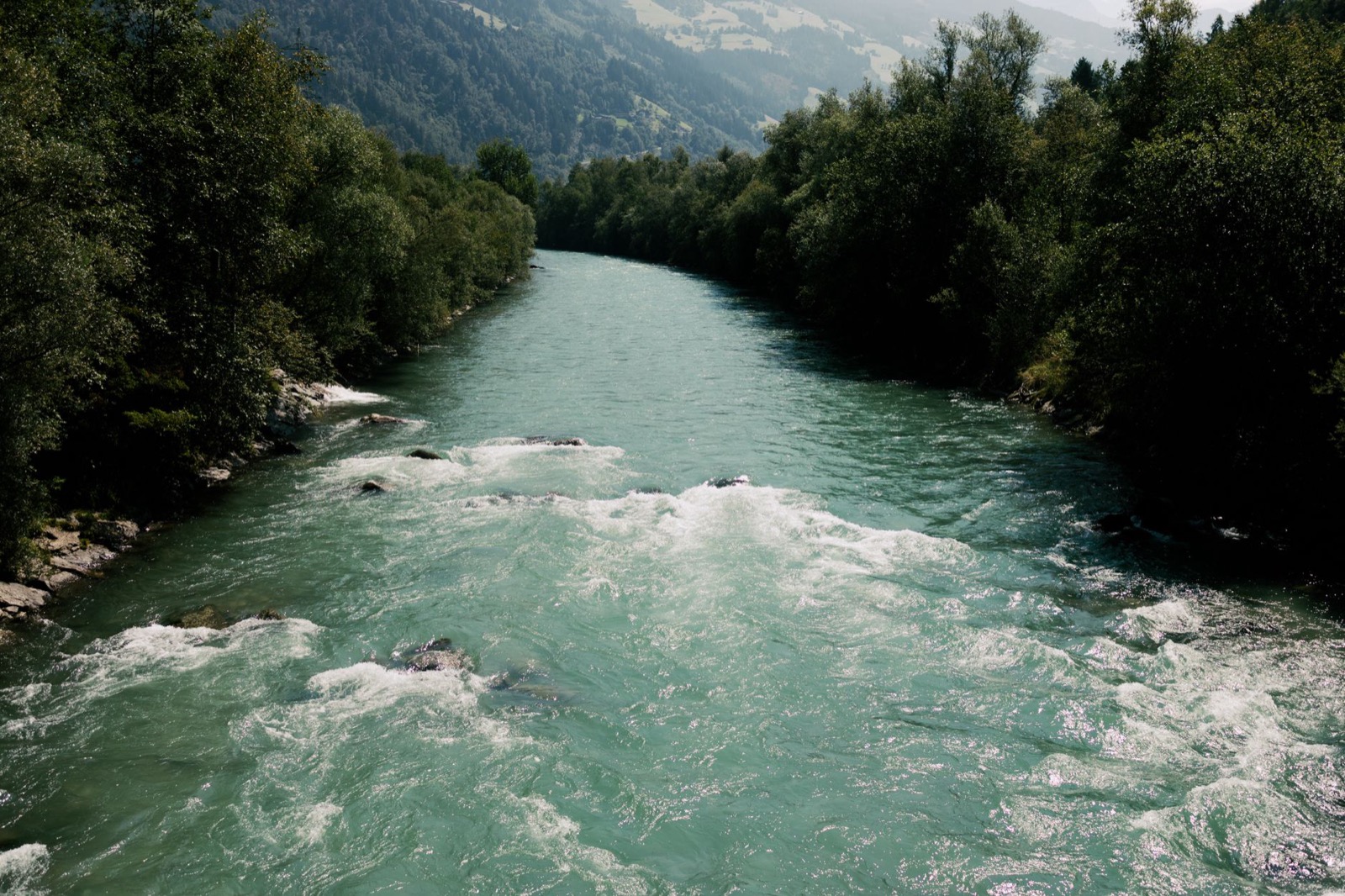 A milky turquoise river running fast between wooded banks below alpine slopes
