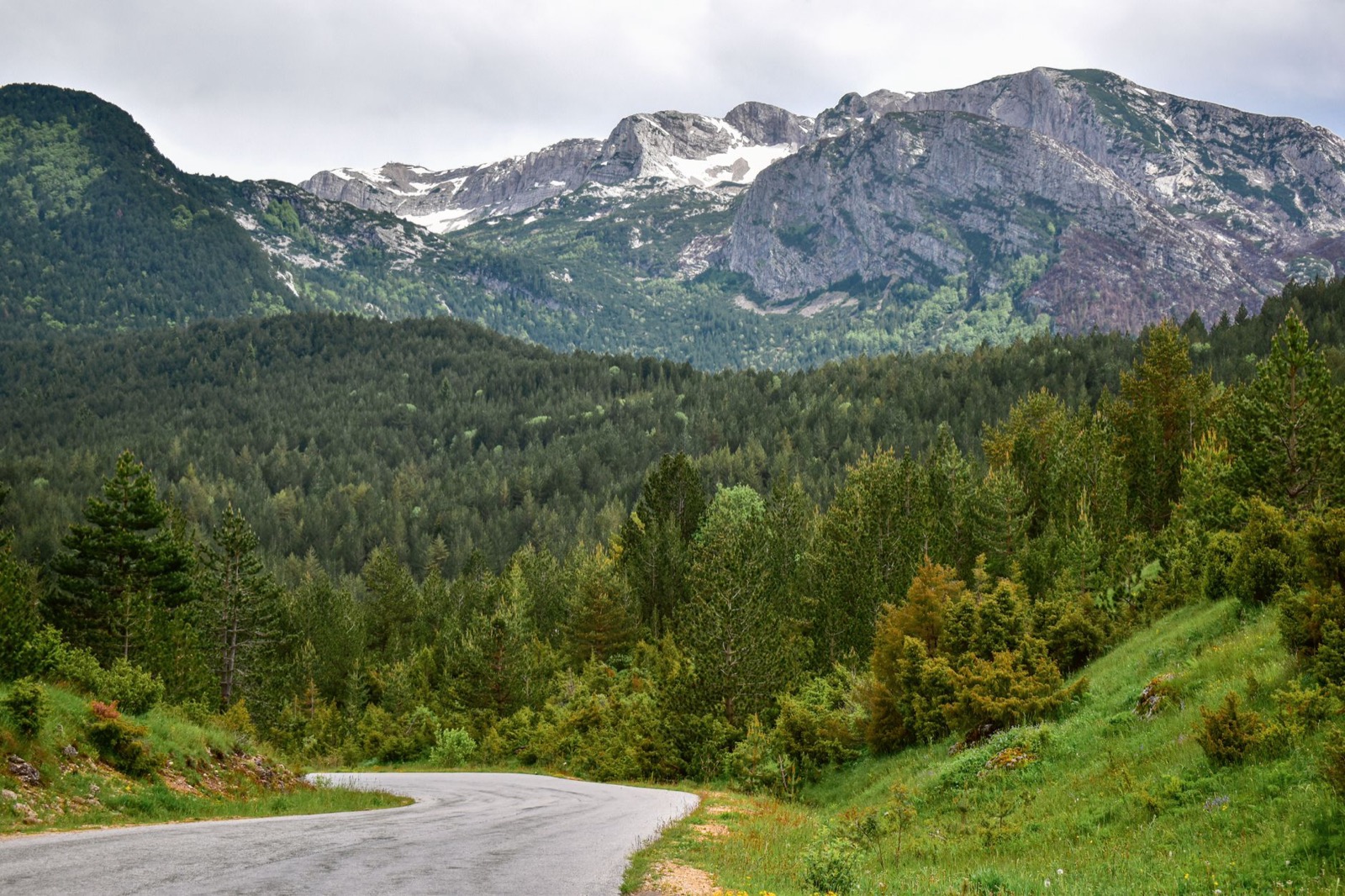 A road curving into dense conifer forest below a bare rocky ridge streaked with snow