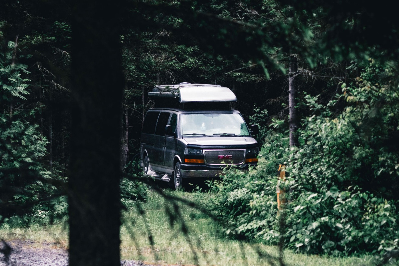 A high-top camper van parked among trees at the edge of a forest track