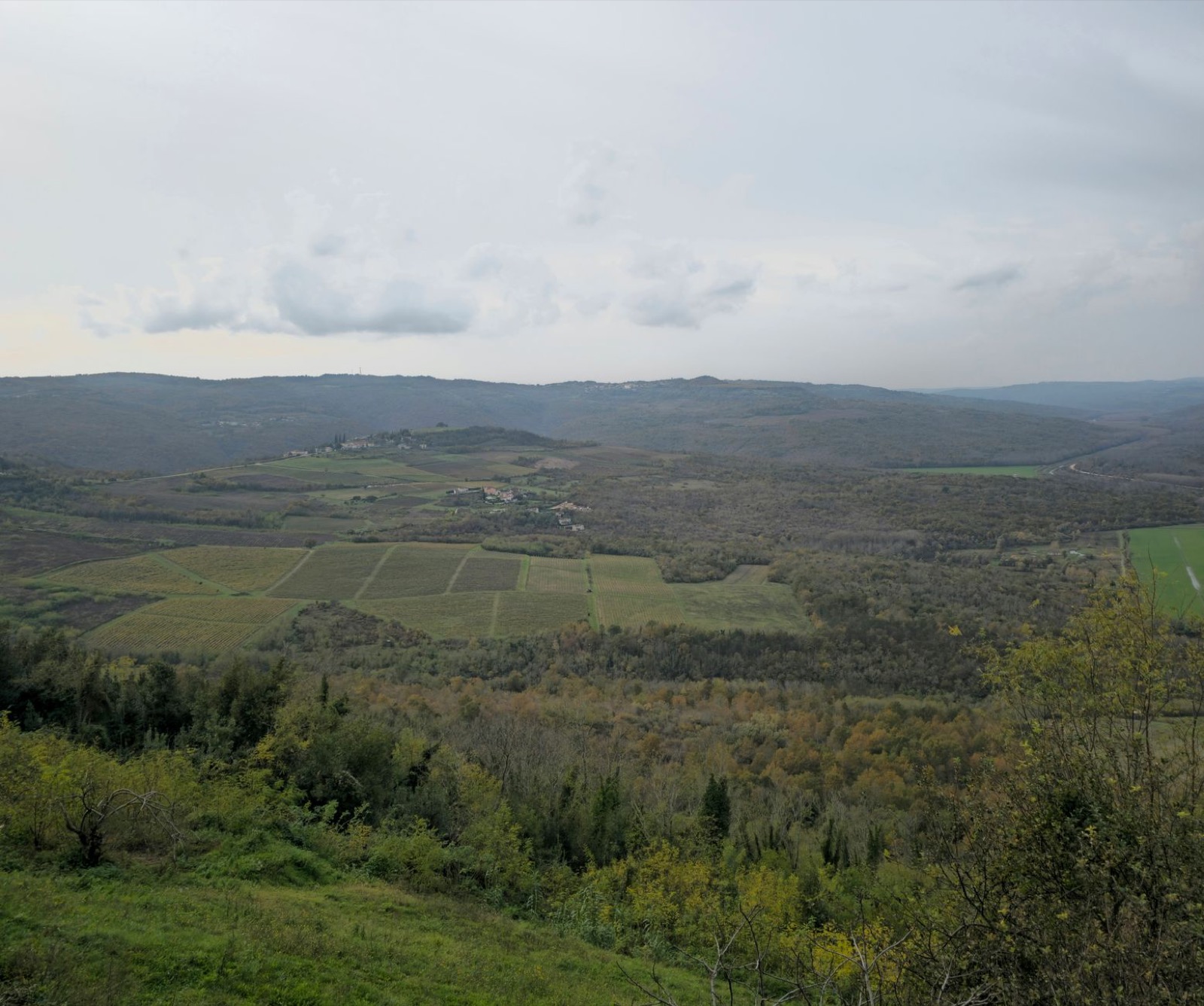 Wooded inland hills with small fields and a village along a ridge under low grey cloud
