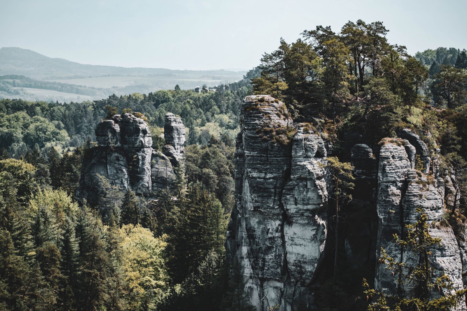 Sandstone rock towers standing out of forested hills under a pale sky