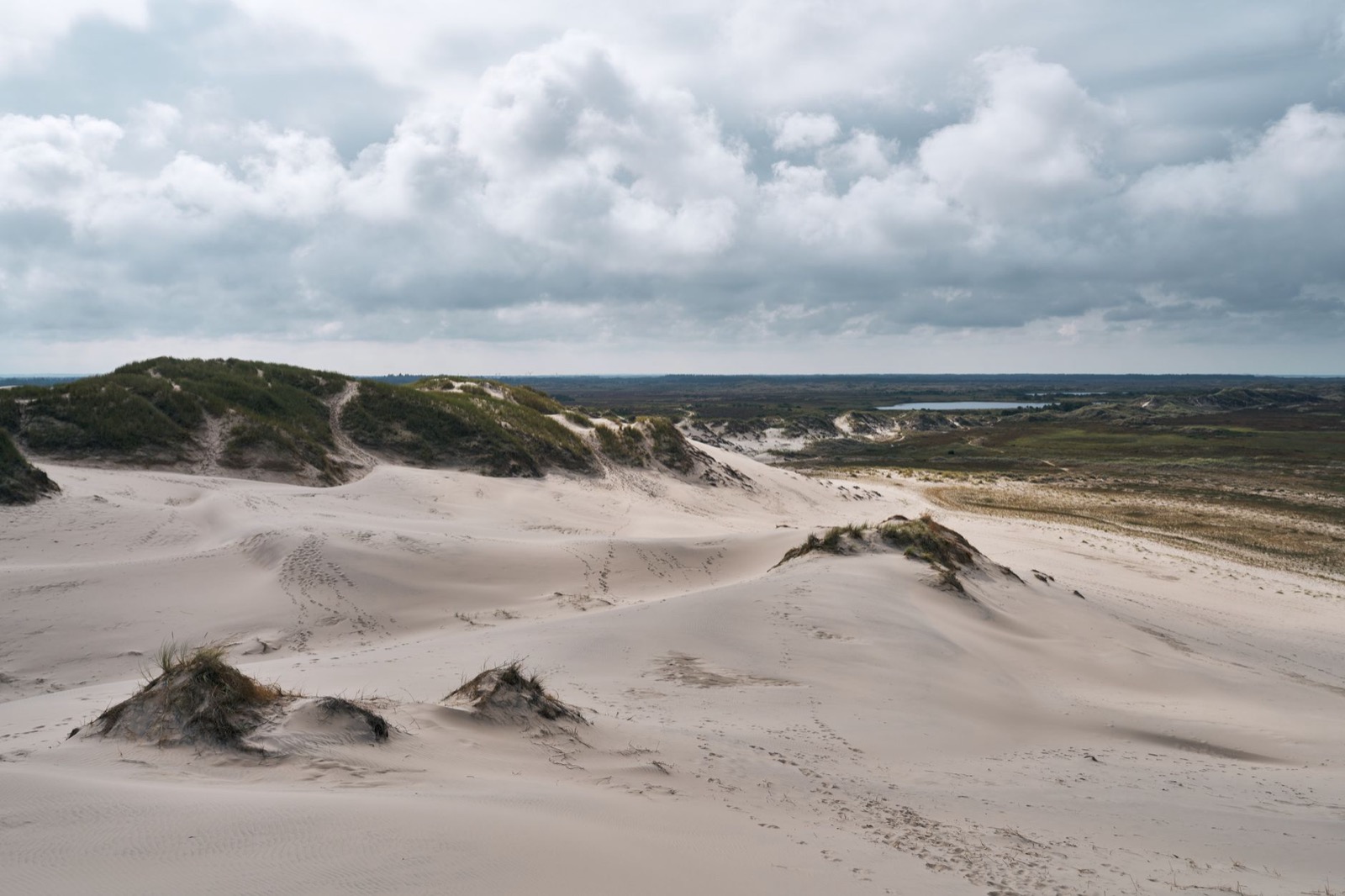 A vast pale sand dune with tufts of marram grass running to a flat horizon