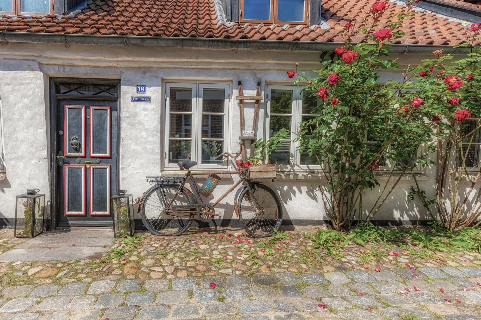An old bicycle leaning against a whitewashed cottage on a cobbled lane, roses in flower beside the door