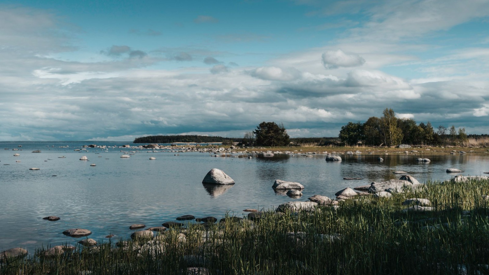 Glacial boulders scattered through shallow water along a low, reedy Baltic shore