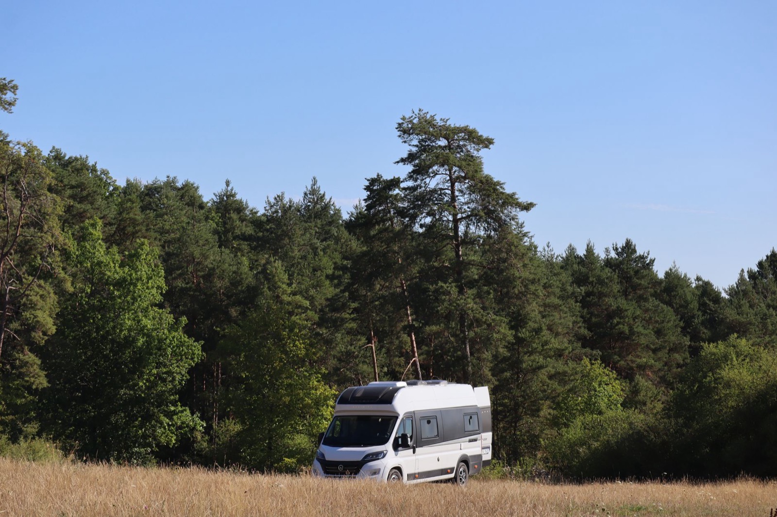 A white van conversion standing on dry grass at the edge of a pine forest