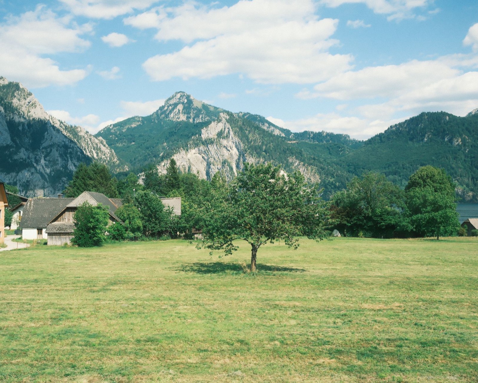 A green meadow with a single tree and a farmhouse below rocky forested peaks under summer cloud