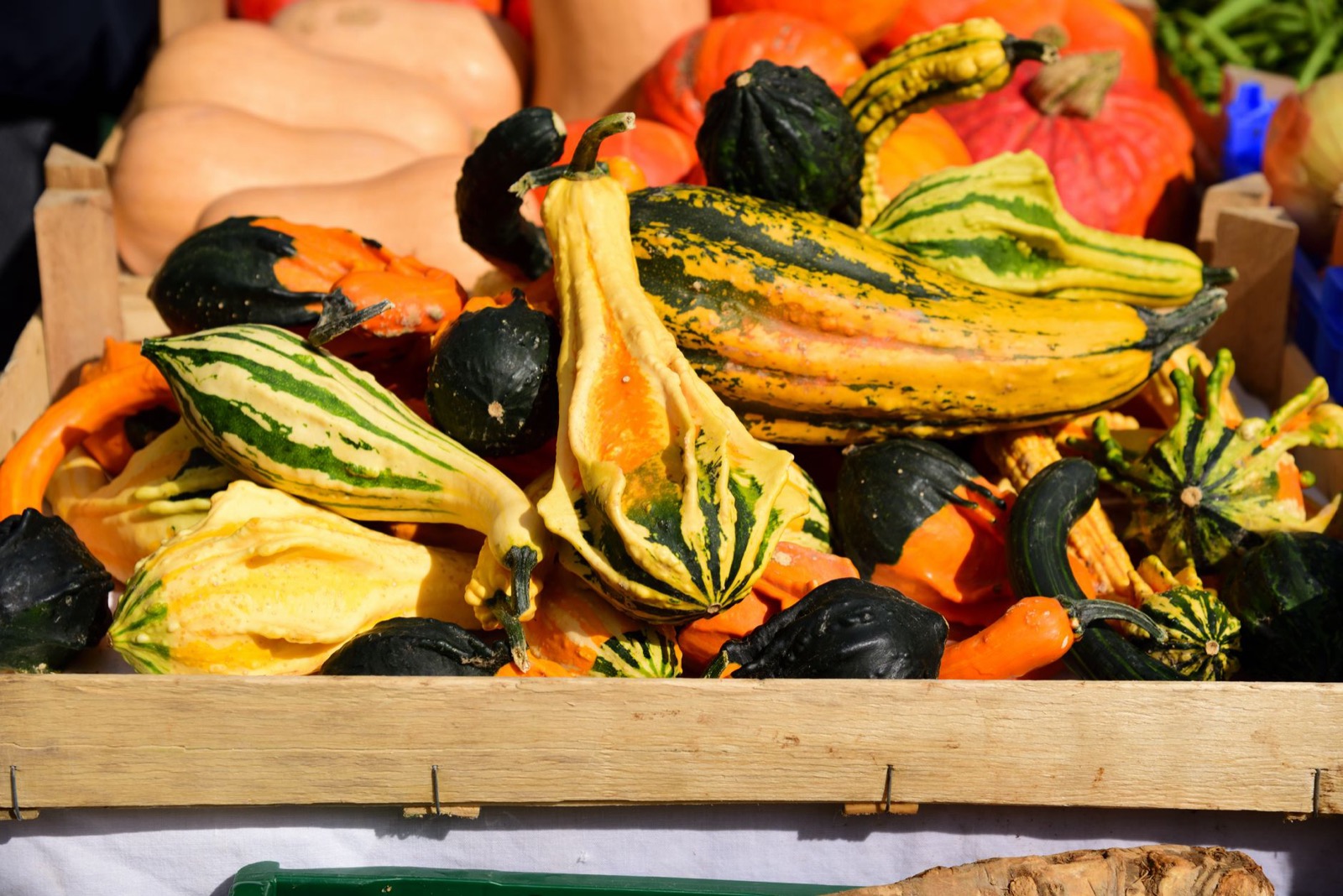 A wooden crate of striped yellow and green decorative gourds on a market stall in the sun