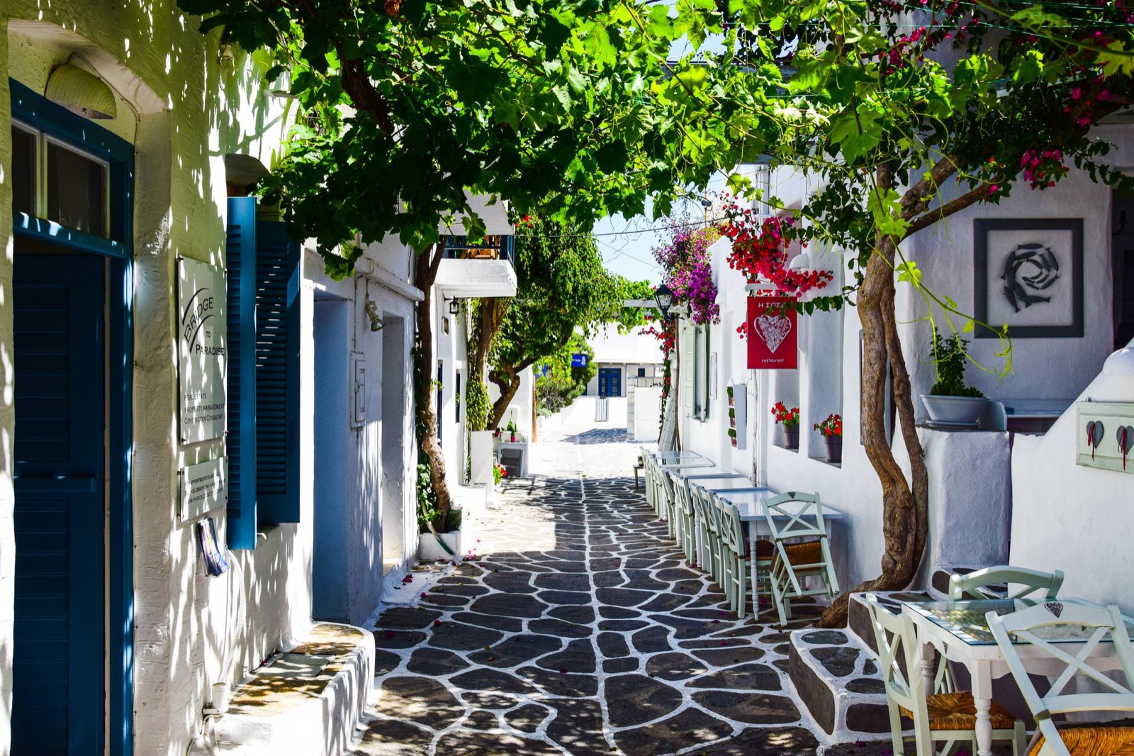 A narrow whitewashed alley in a Greek village with bougainvillea over a stone doorway