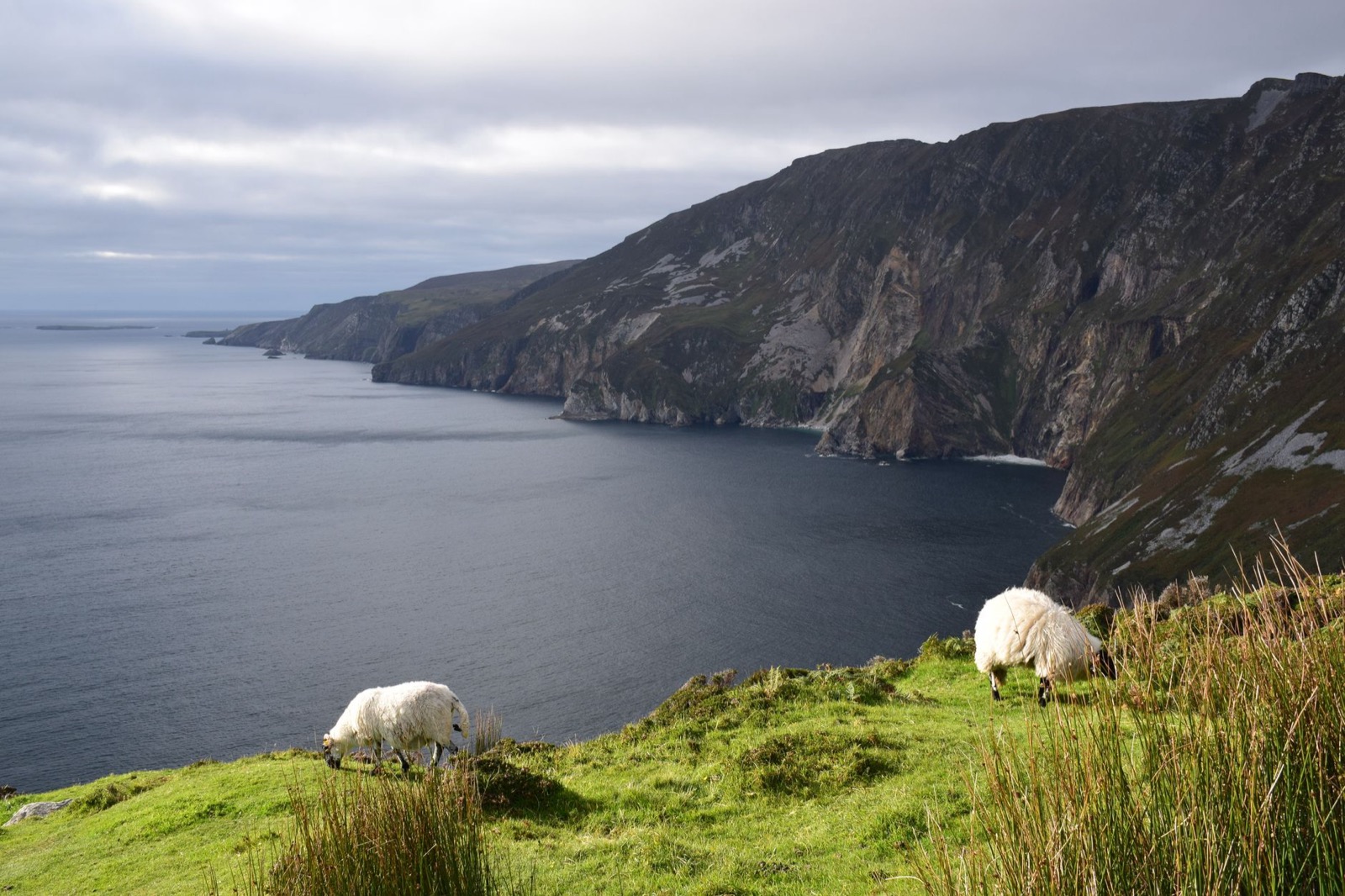 The Slieve League sea cliffs falling into the Atlantic in County Donegal