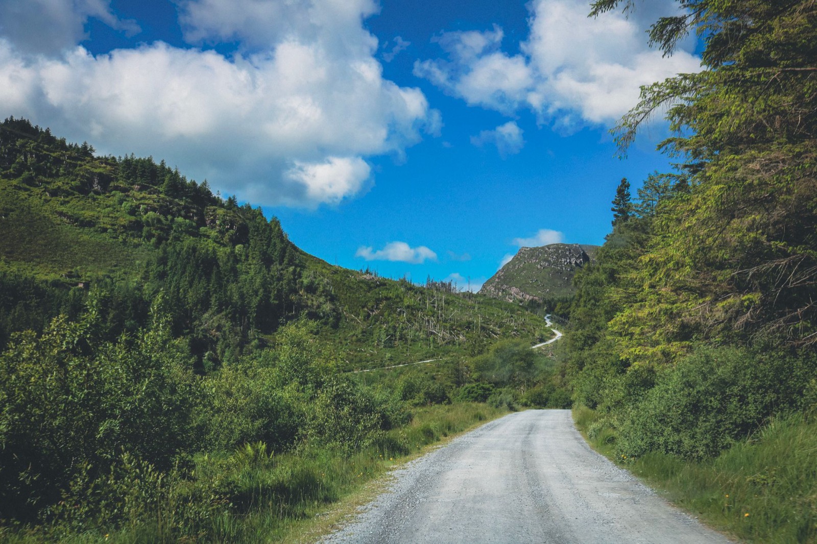 A narrow road curving through green hills and conifer scrub towards a rocky summit
