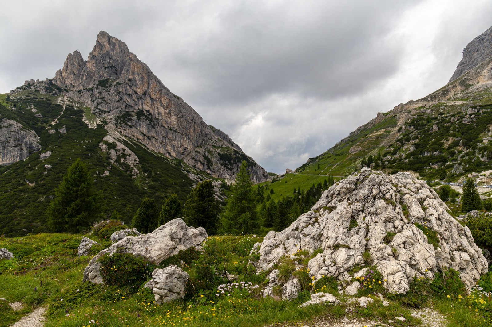 Limestone crags above a green alpine pass, pale boulders and young spruce in the foreground