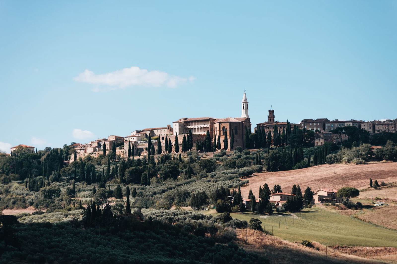 A hill town in Tuscany with cypress trees along the ridge in early morning light