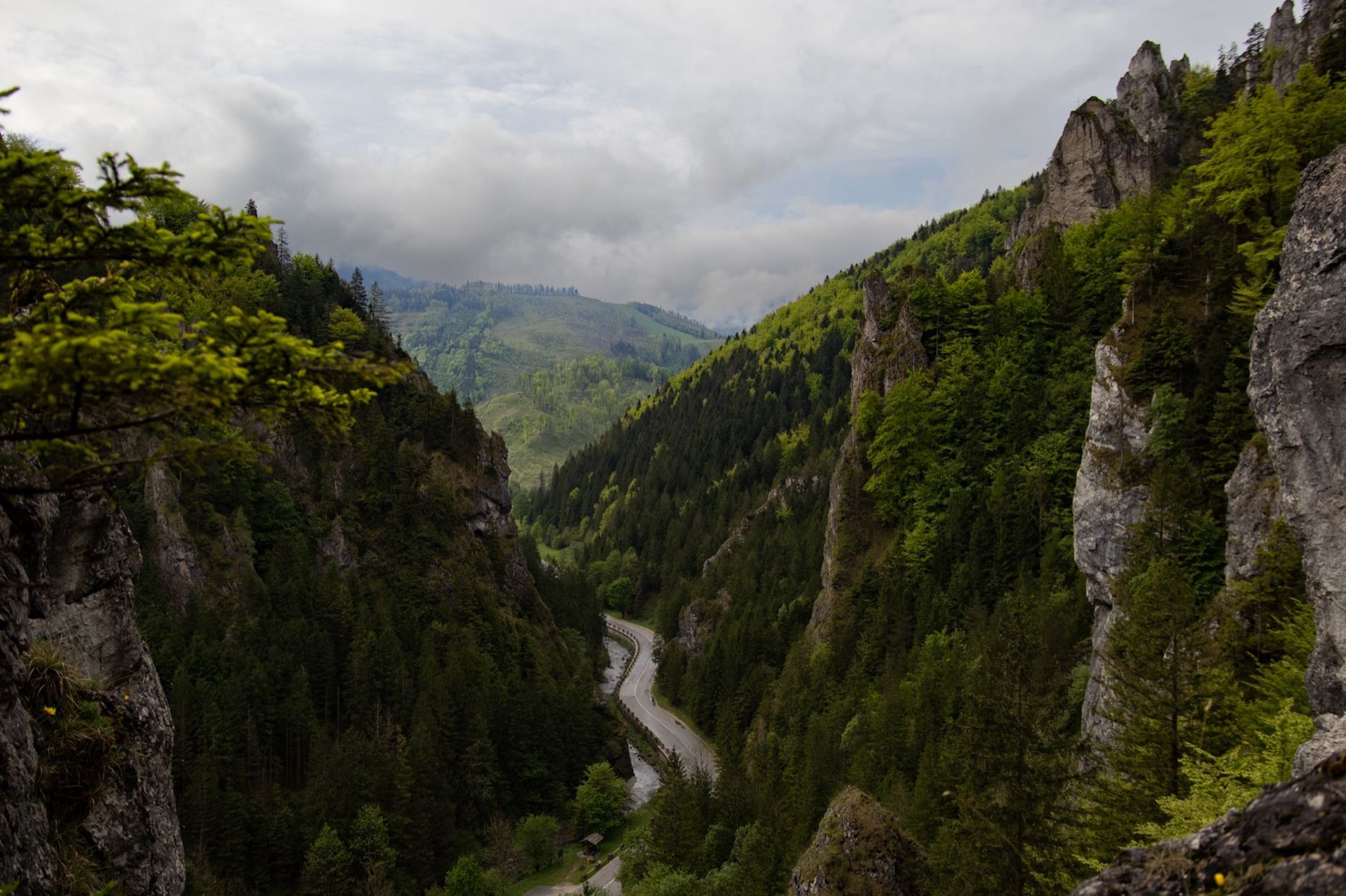 A road threading the floor of a deep gorge between steep forested walls and limestone crags