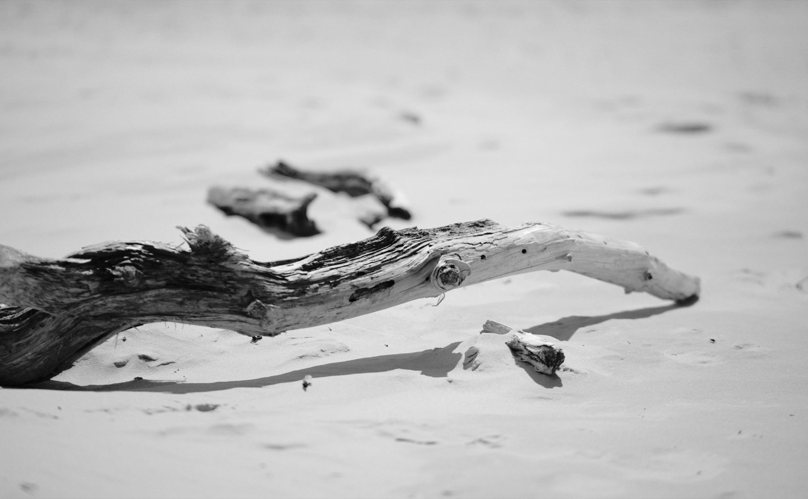 A bleached driftwood log lying on empty sand, in black and white