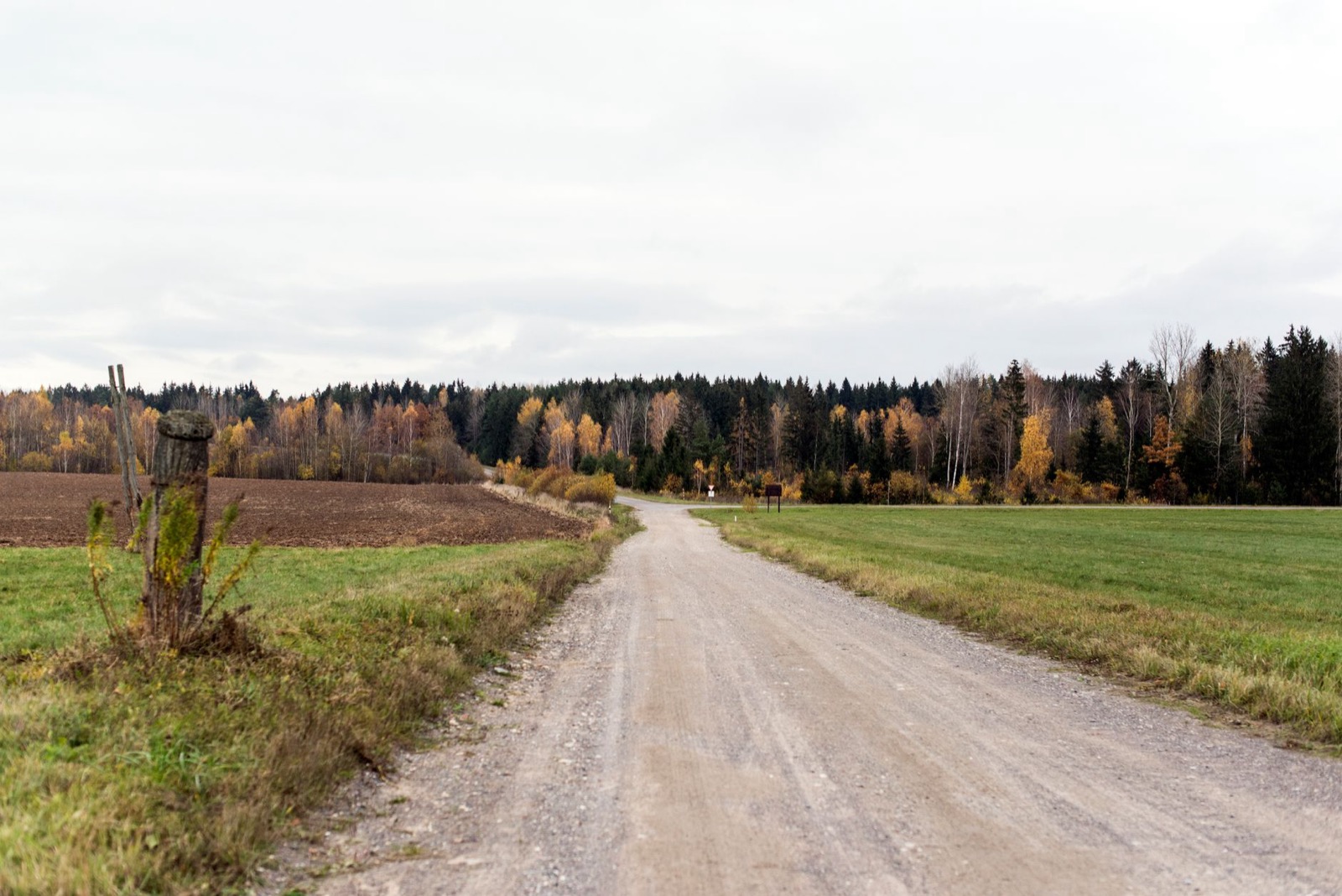 A gravel road running between a ploughed field and a meadow toward autumn forest
