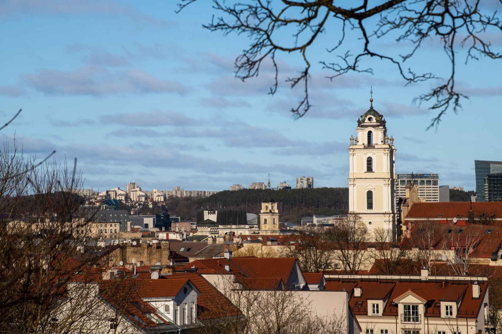 Baroque church towers and red roofs of Vilnius old town seen from Gediminas hill