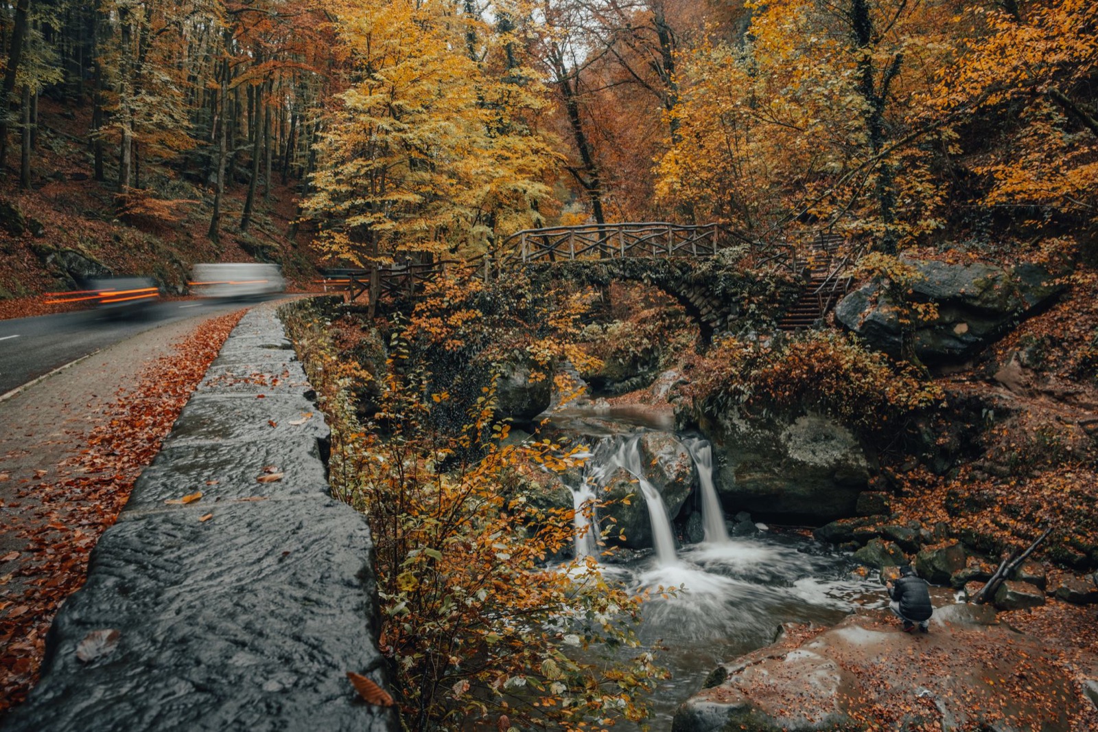 A wooden footbridge over a small waterfall in an autumn beech gorge, beside a road