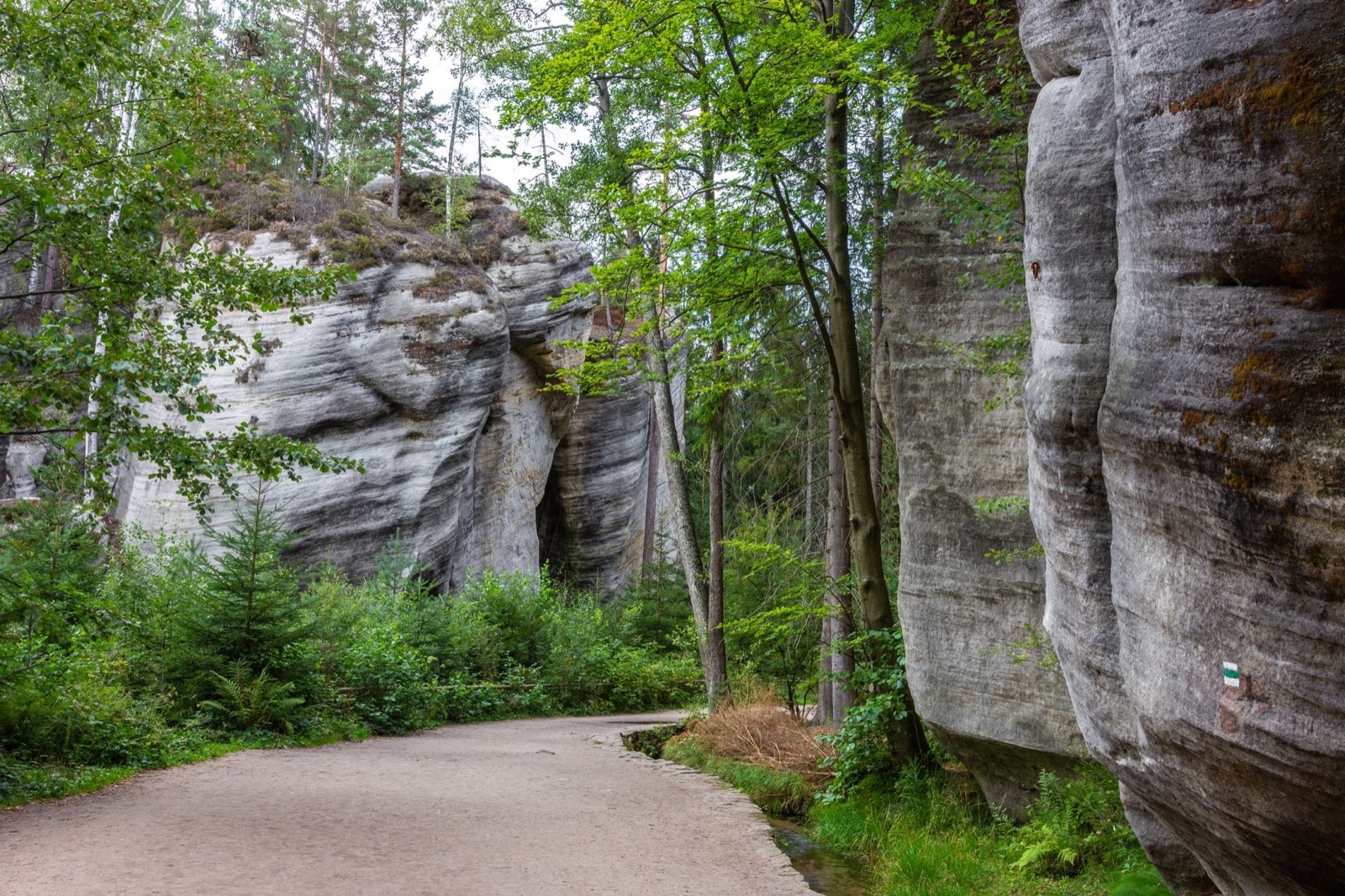 A gravel path running between tall weathered sandstone rock walls in a green wood
