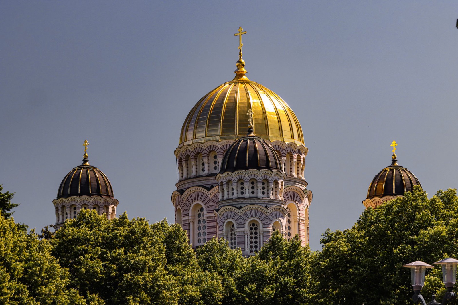 The gold and dark domes of an Orthodox cathedral rising above a line of trees