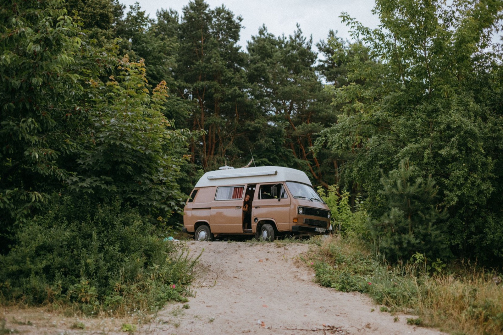 A brown camper van with its side door open, parked on a sandy track at the edge of a pine wood