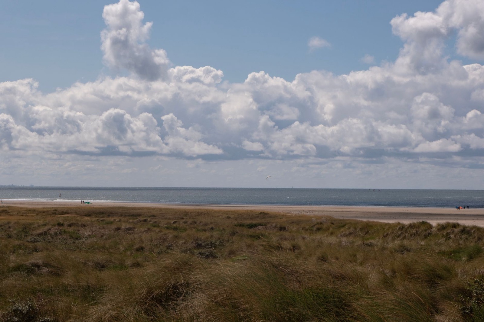 Marram grass on a dune ridge above a wide empty North Sea beach