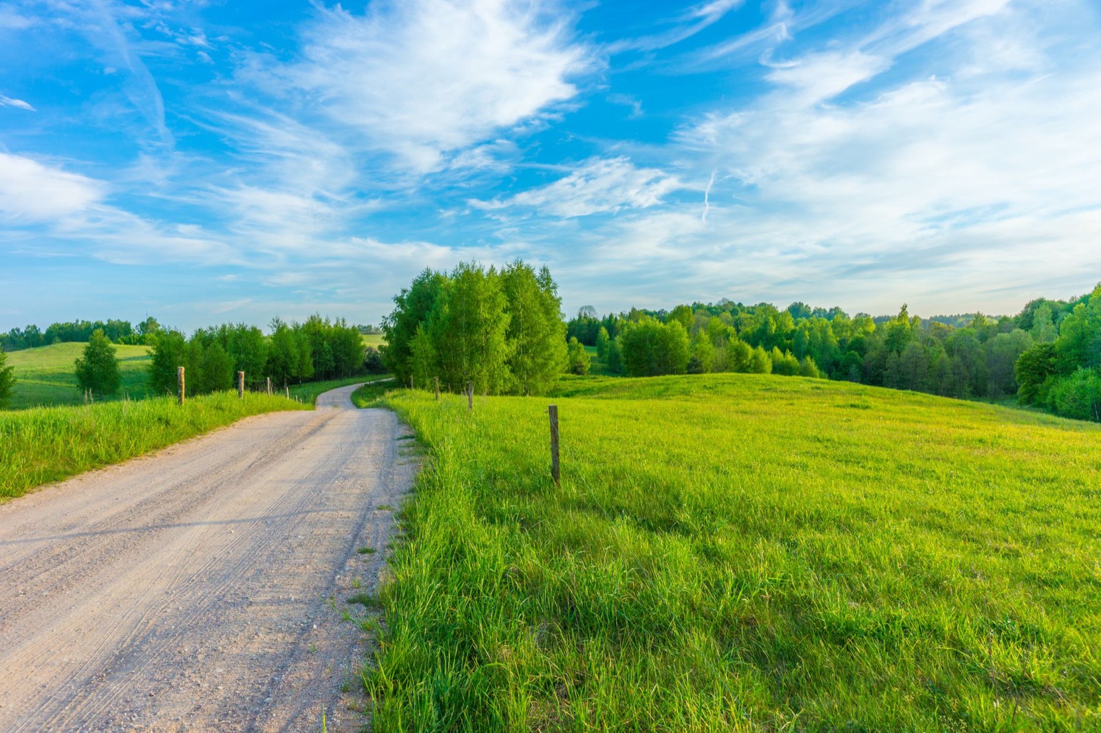 An unpaved lane curving between green meadows under a wide summer sky