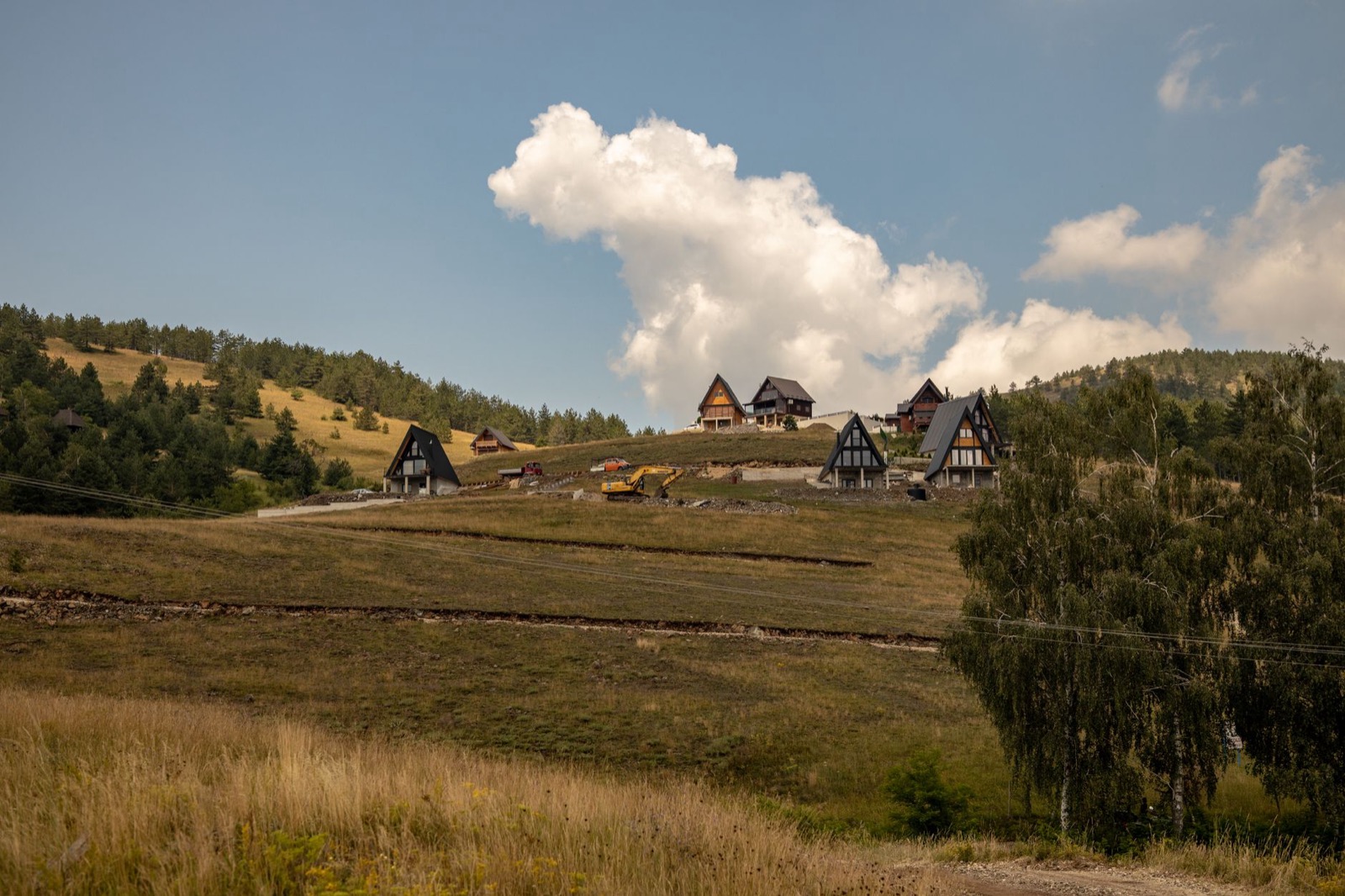 Modern A-frame chalets on a grassy hilltop above rough meadow and pine woods
