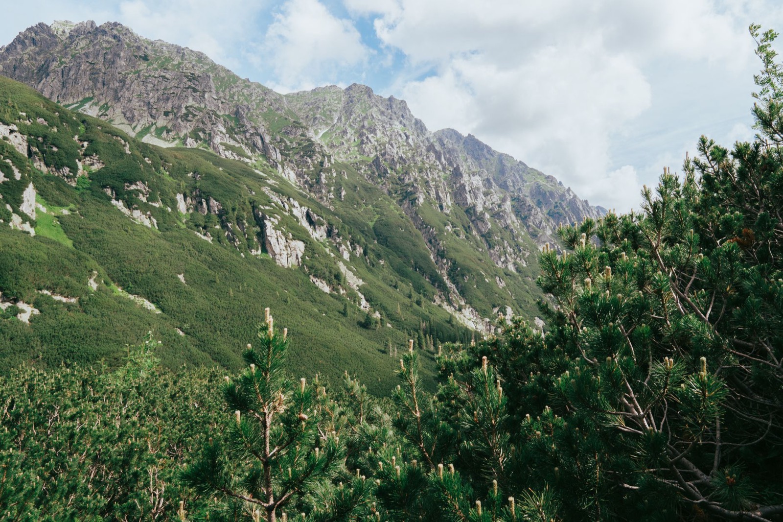 Rocky Tatra peaks above steep slopes of dwarf pine under broken cloud