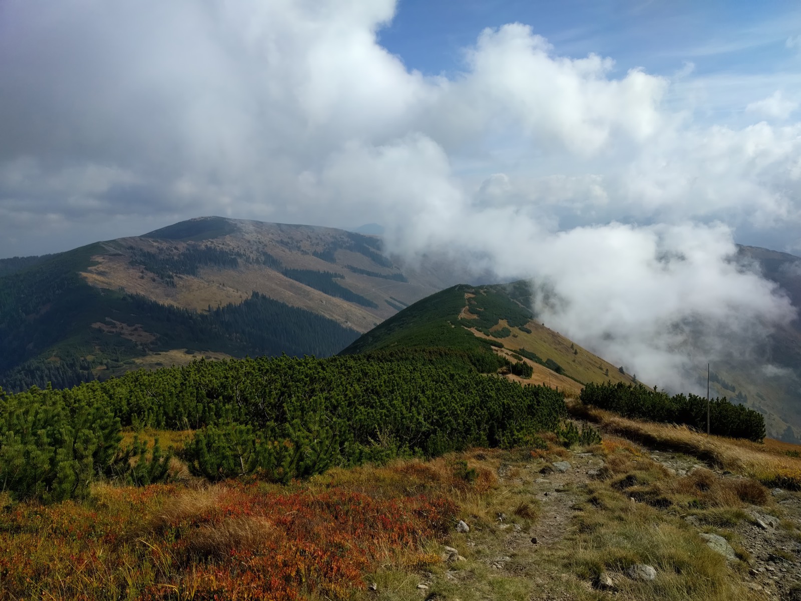 An open ridge of grass and dwarf pine with cloud spilling over the crest and a rounded summit behind