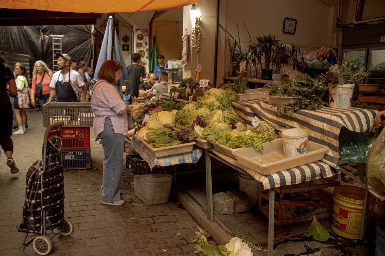 Crates of lettuce and greens on covered market stalls with a shopper waiting beside a trolley