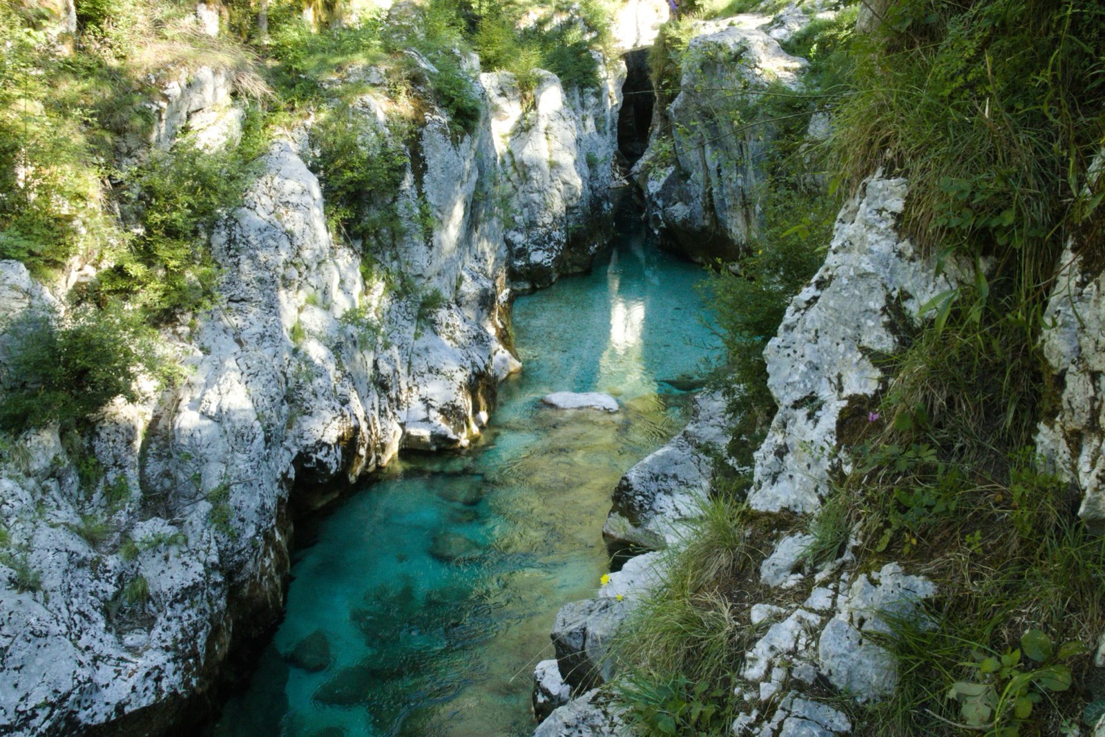 The turquoise Soča river running through a narrow limestone gorge with pines above