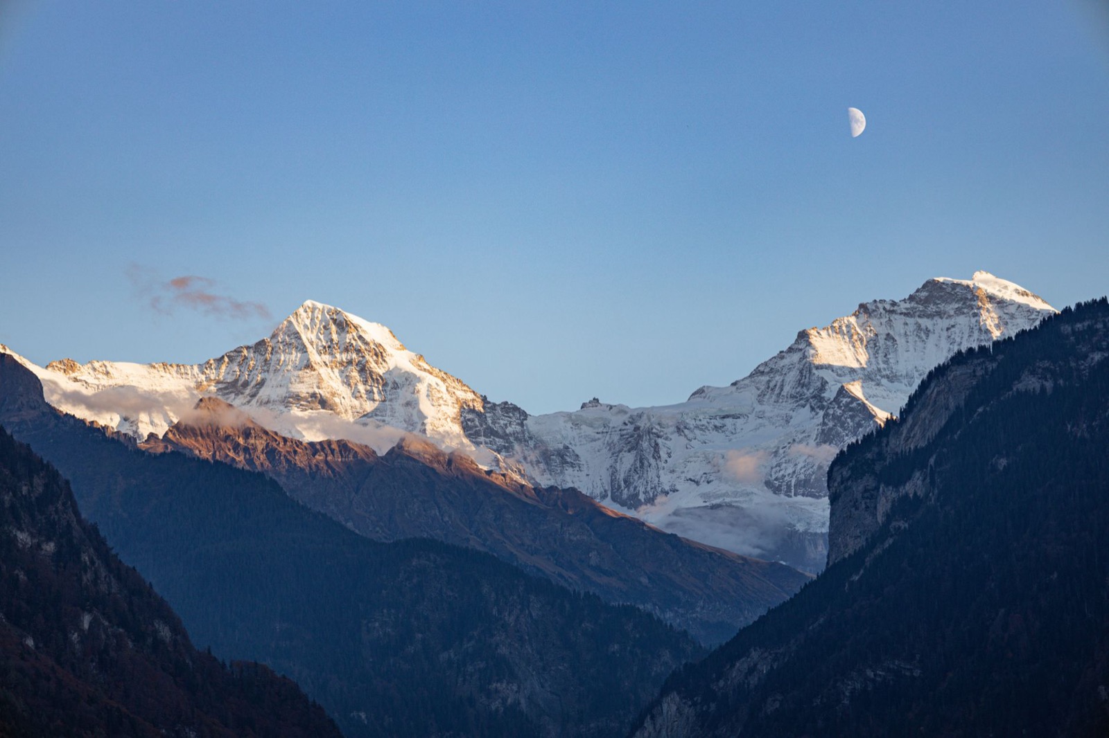 Snow-covered peaks catching the last sun above dark forested ridges, a half moon in a clear sky