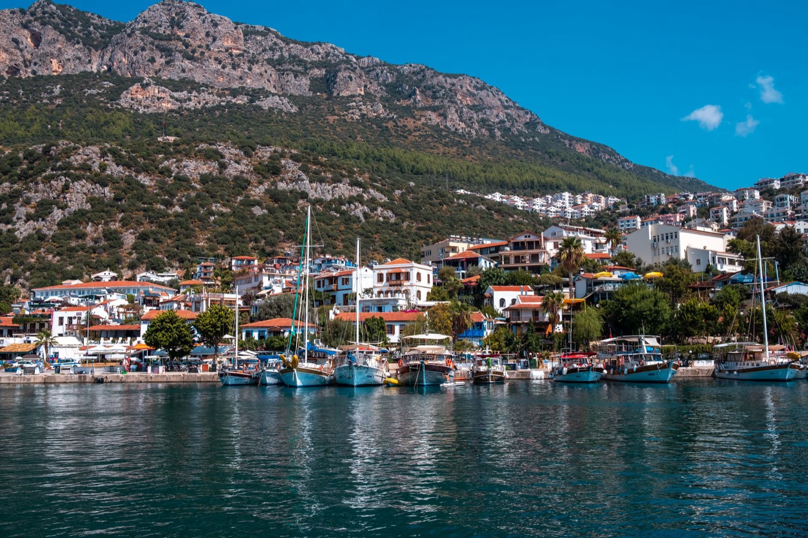 A small harbour of white boats below pine-covered cliffs on the Lycian coast